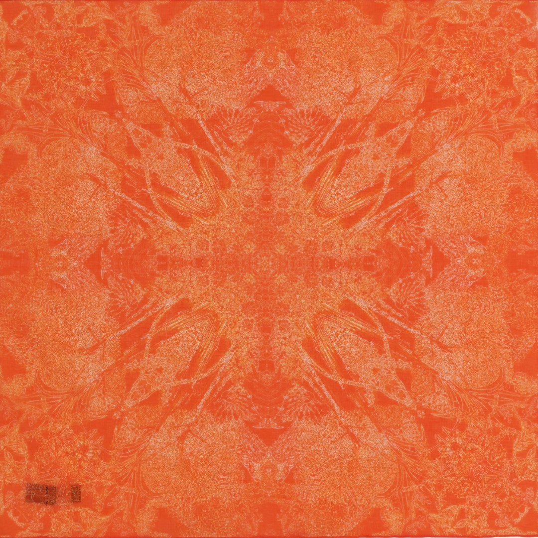 petrusse-carr-coton-50-evanescent-orange image 1