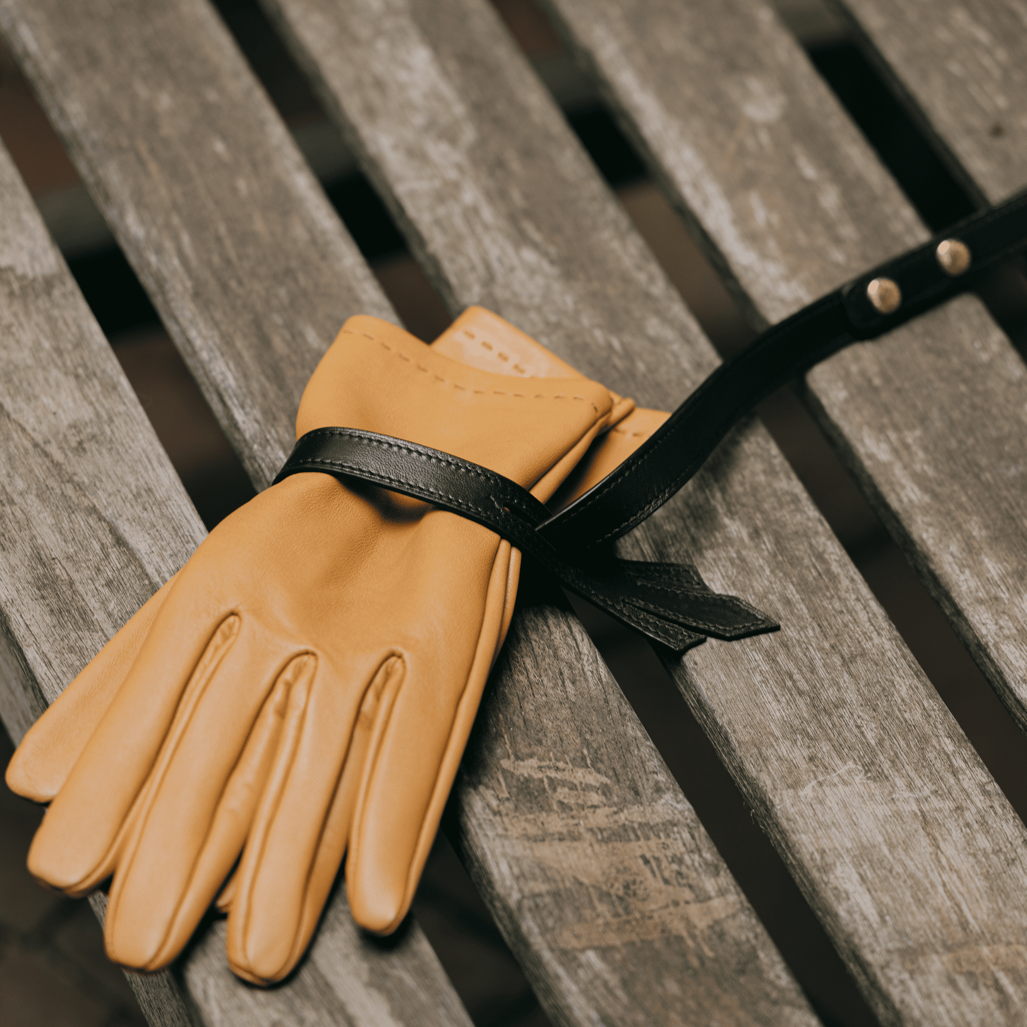 causse-lys-porte-gants-en-cuir-d-agneau-fleur-de-lys image 2