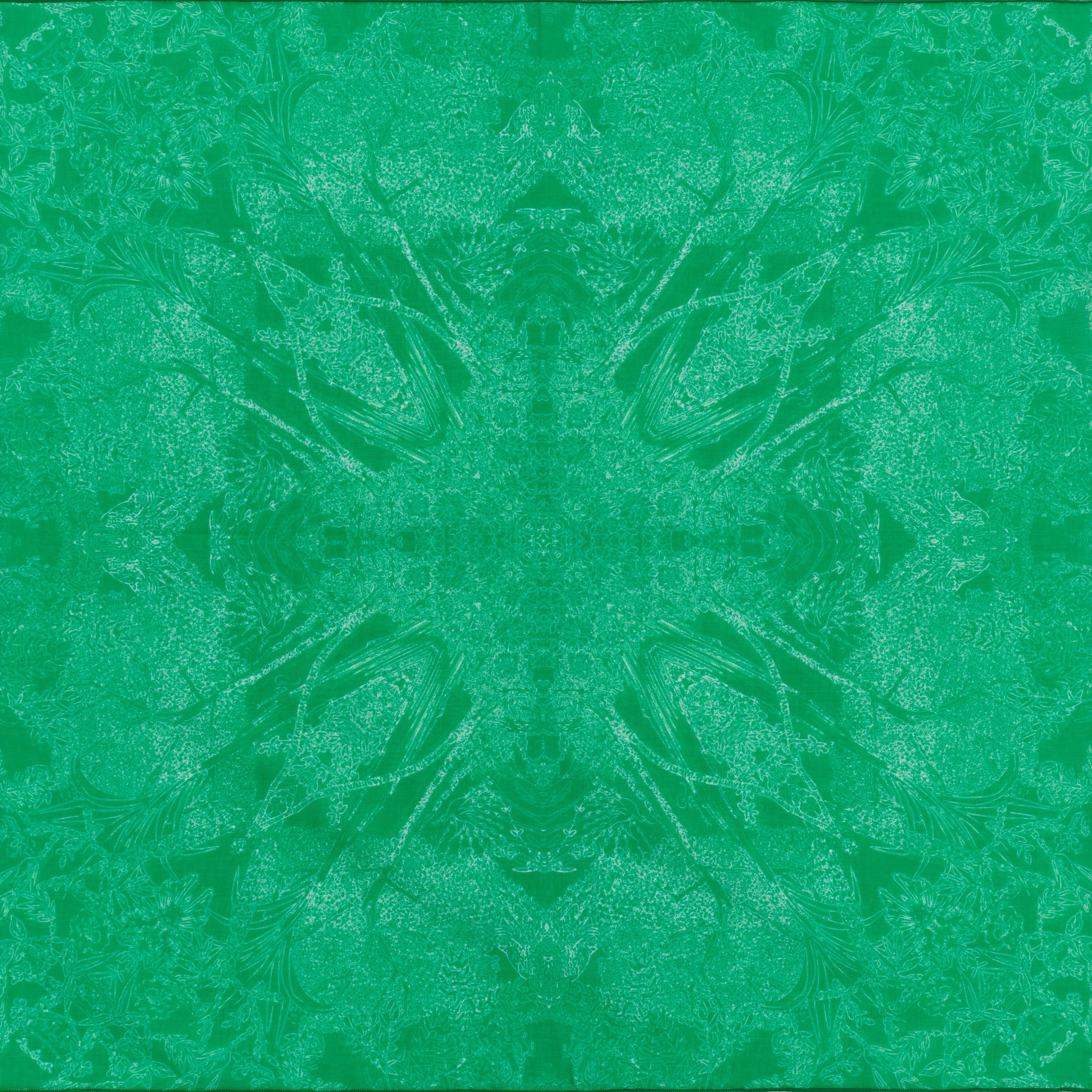 petrusse-carr-coton-50-evanescent-vert image 1