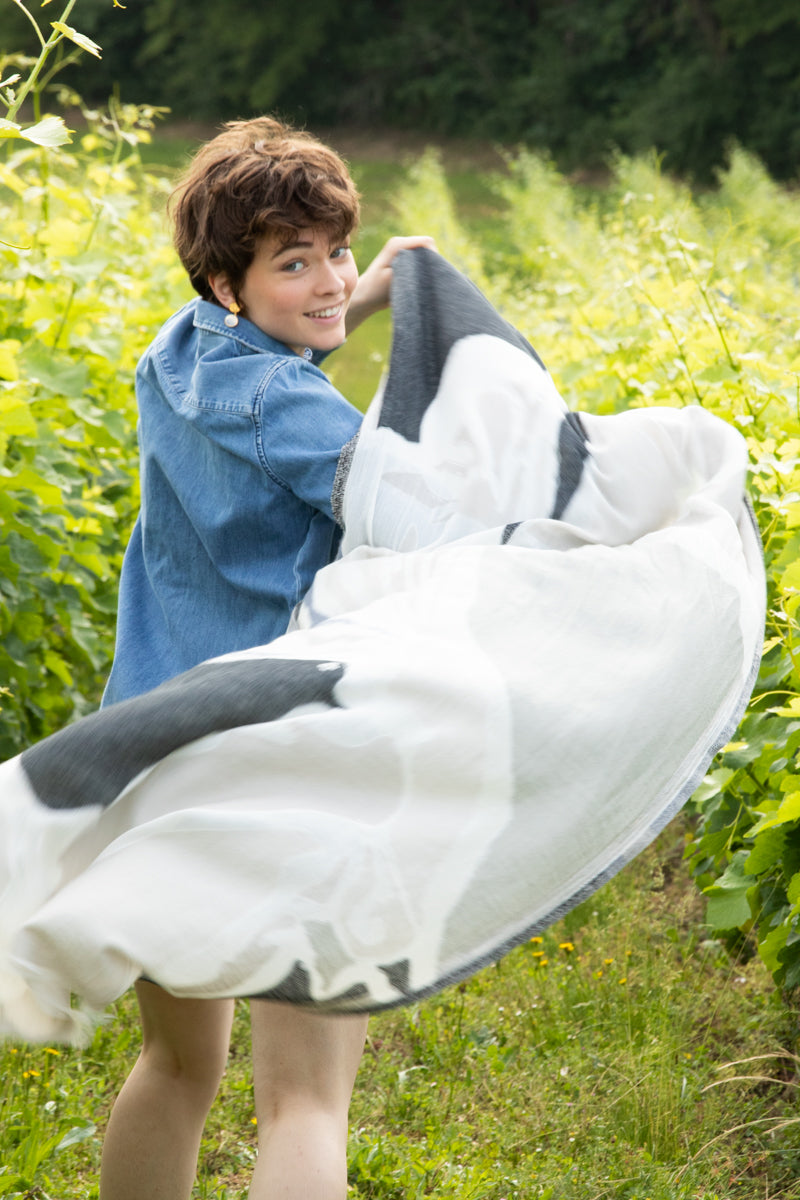 petrusse-tole-calysto-gris-tole-oiseau-lanc-d-coup image 5