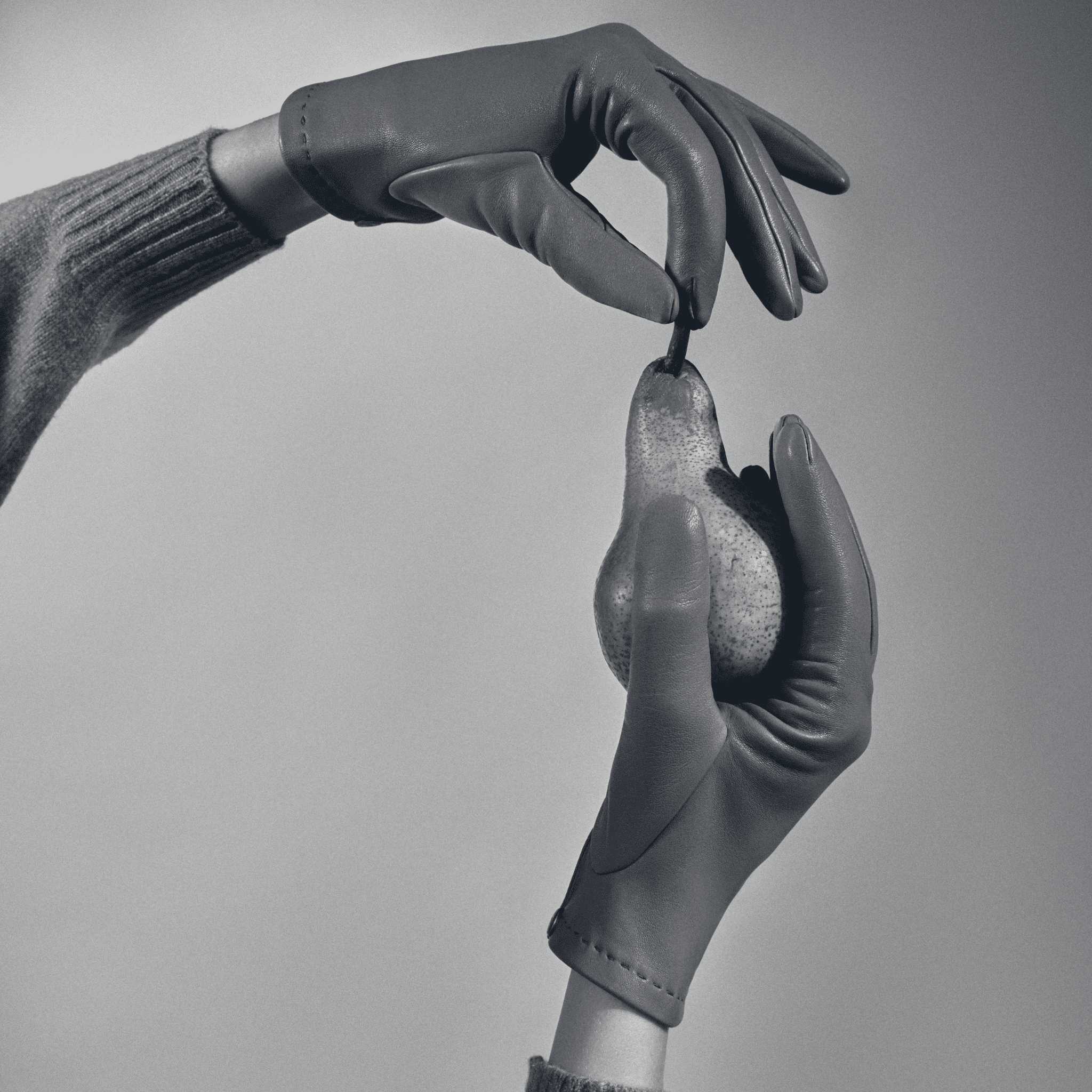 causse-victoria-gants-en-cuir-pour-femme image 2