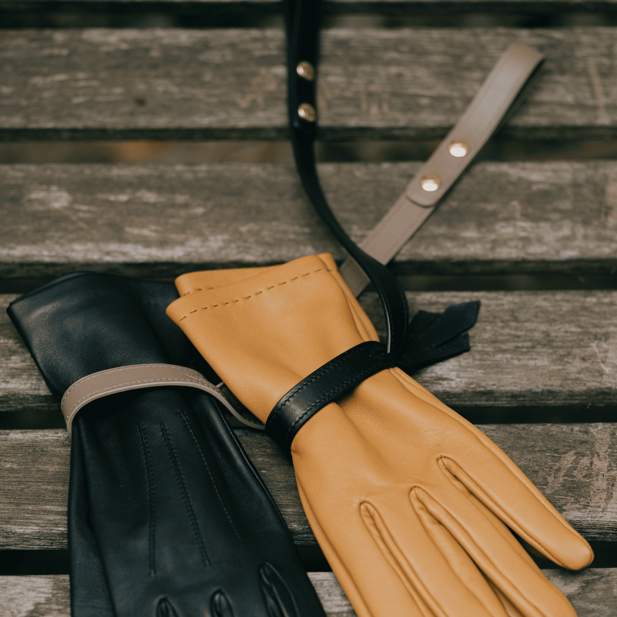 causse-lys-porte-gants-en-cuir-d-agneau-fleur-de-lys image 3