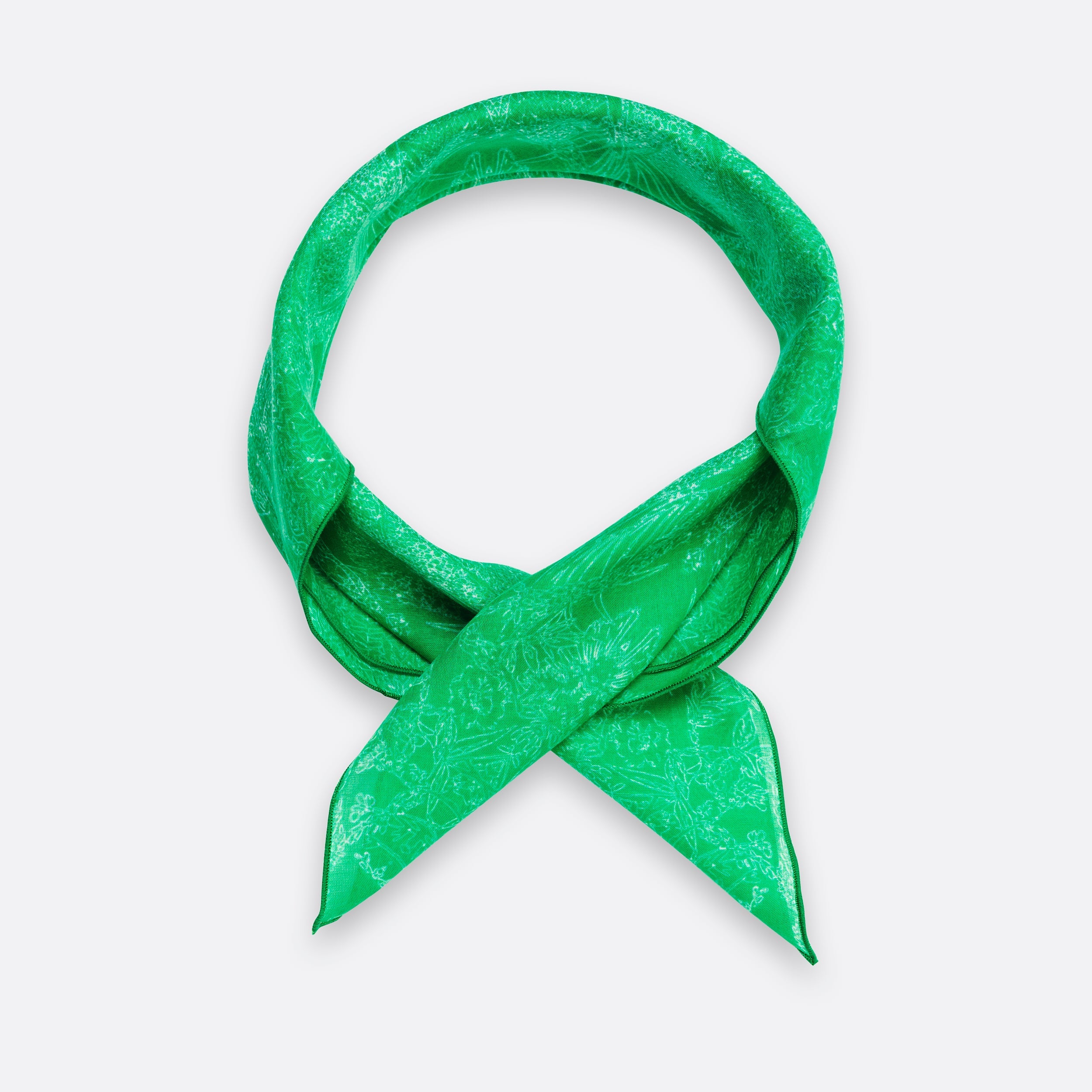 petrusse-carr-coton-50-evanescent-vert image 3