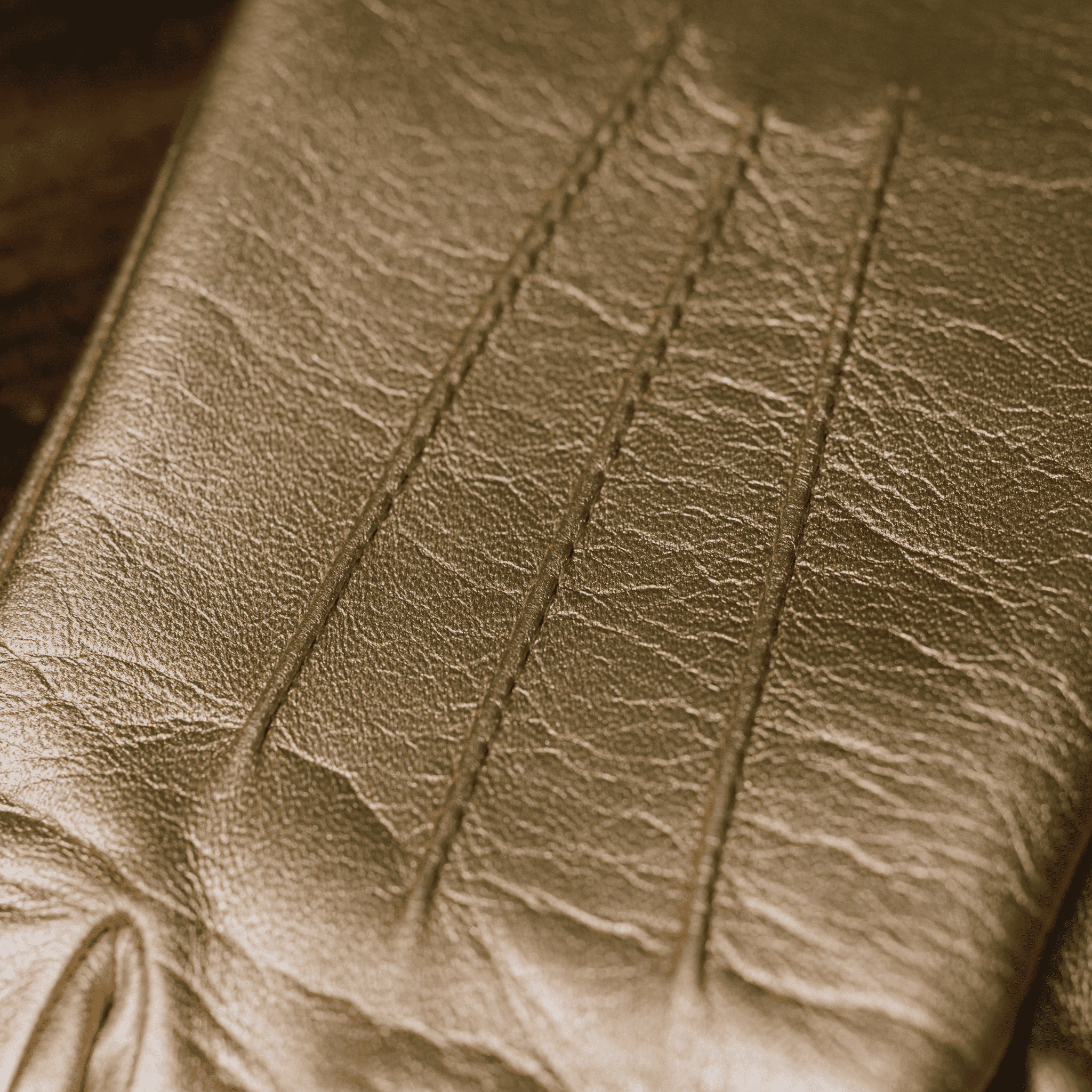 causse-jackie-gants-cuir-d-agneau-femme-soie image 4