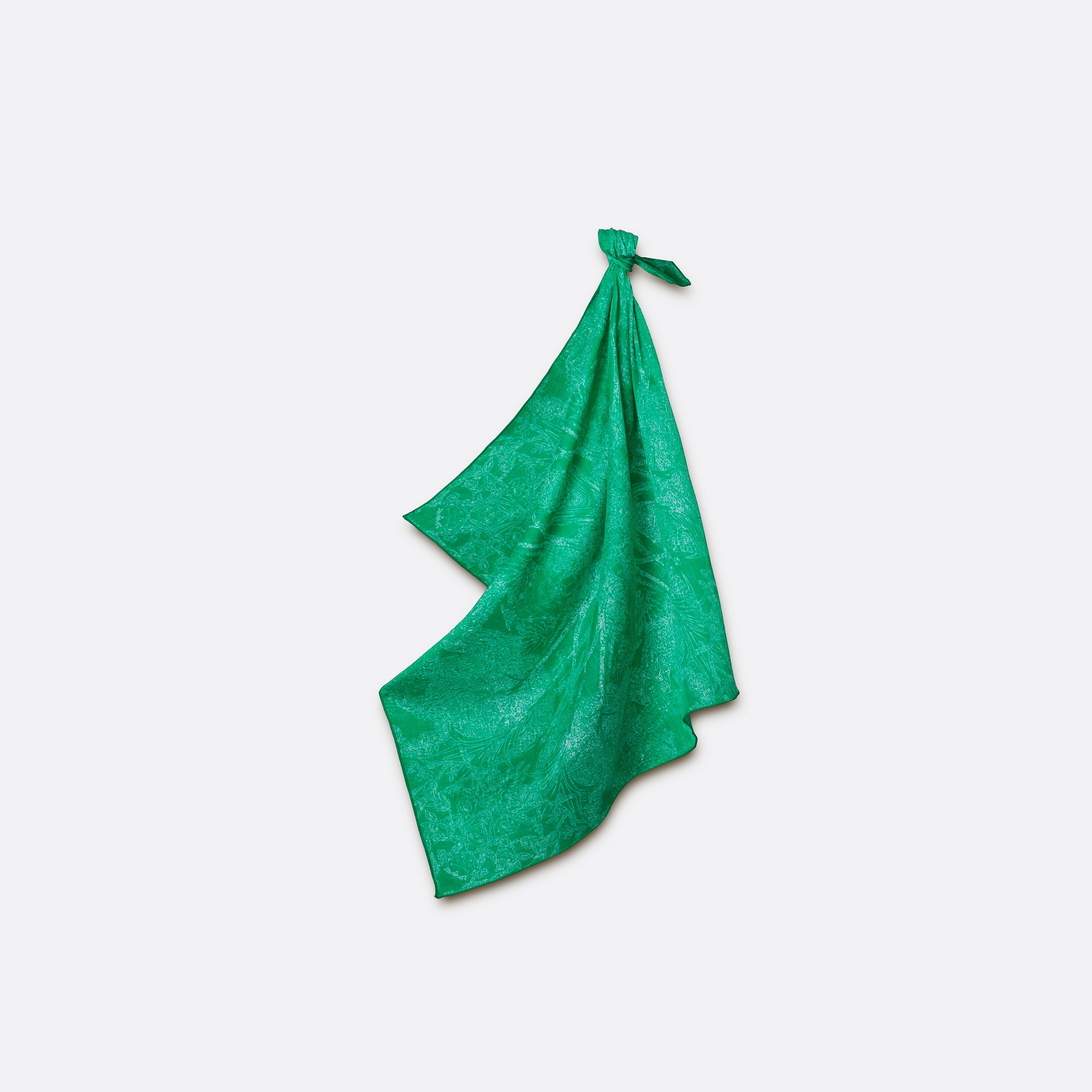 petrusse-carr-coton-50-evanescent-vert image 2