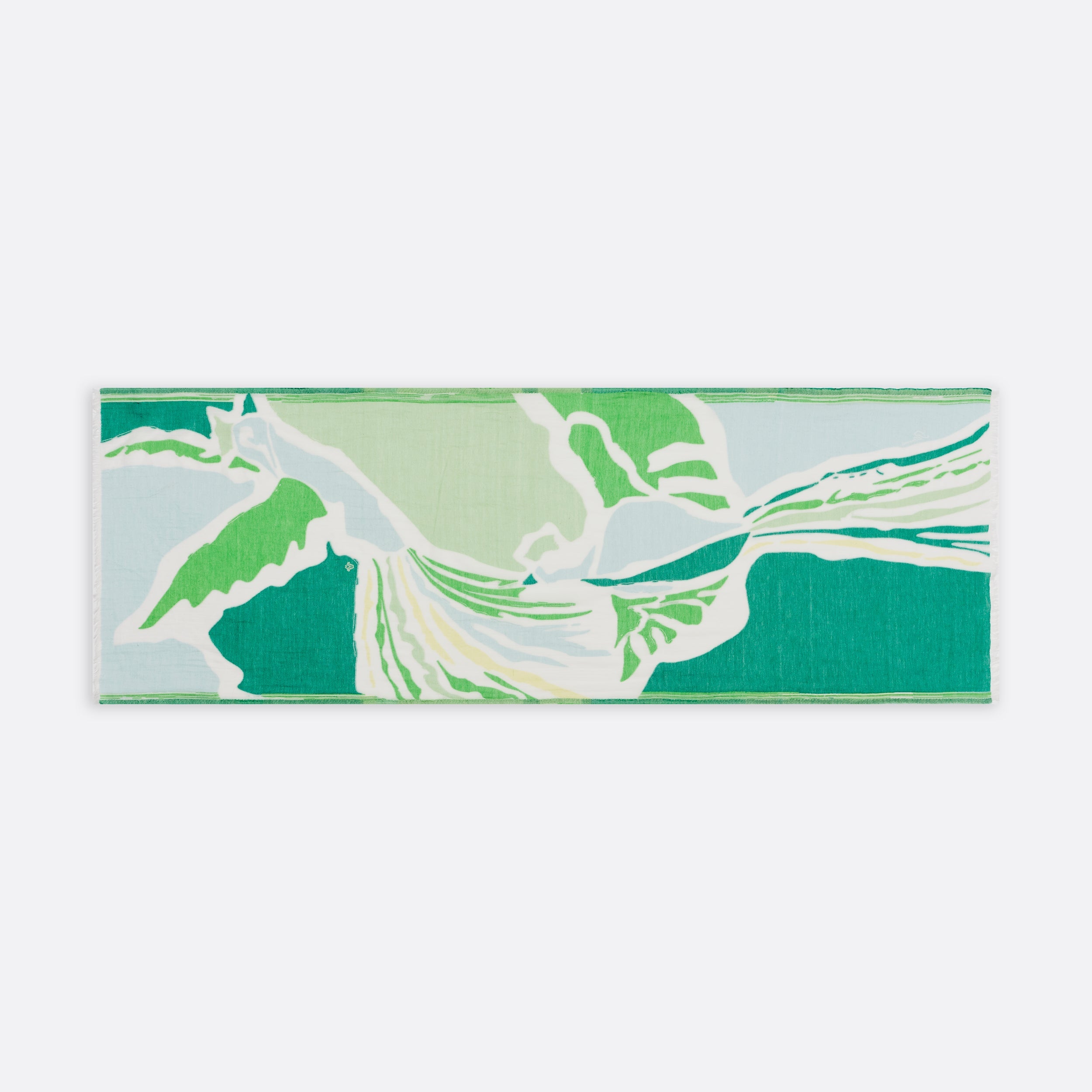 petrusse-tole-calysto-vert-lanc-d-coup-oiseau-envol image 2
