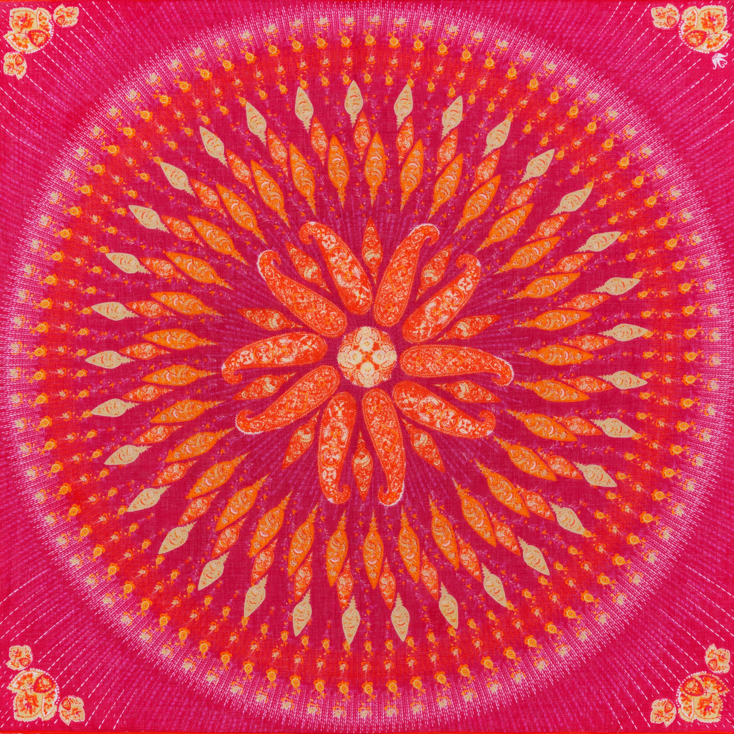 petrusse-carr-coton-50-lyre-sorbet image 2