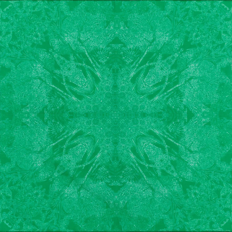 petrusse-carr-coton-50-evanescent-vert image 1
